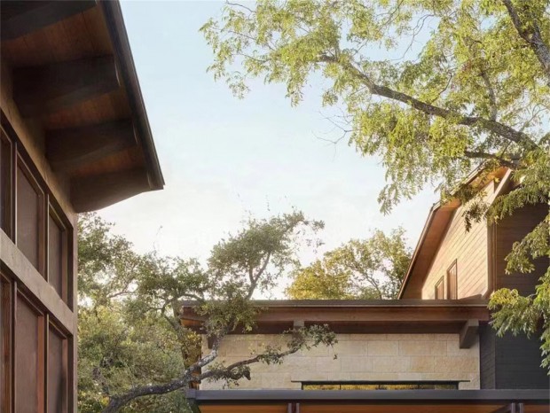 ԭľ�� | �ľ���һ�ֲ�����ɫ������