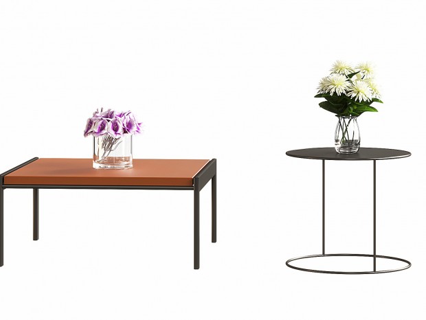 ִ輸߼ ִ߼ǼԲ С  ֲﻨƿڼ