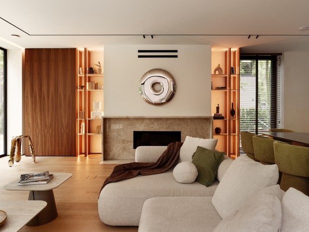 SAAN Architecture | ��ɳ�����������еļ�ͥ������