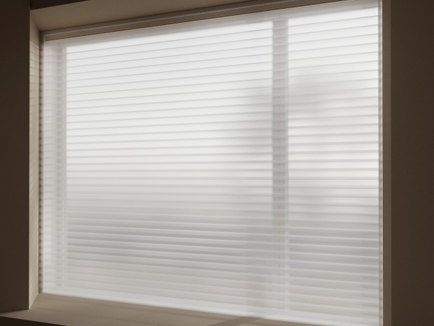 ���� ���������