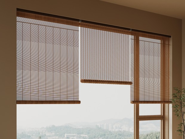 ����ʽ���� ���� ����