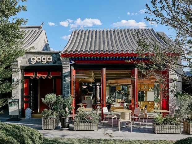 odd��� | gaga�����