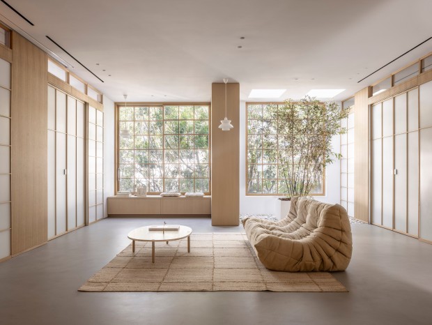 Tal Goldsmith FishحMinimalist Bauhaus on the Carmel