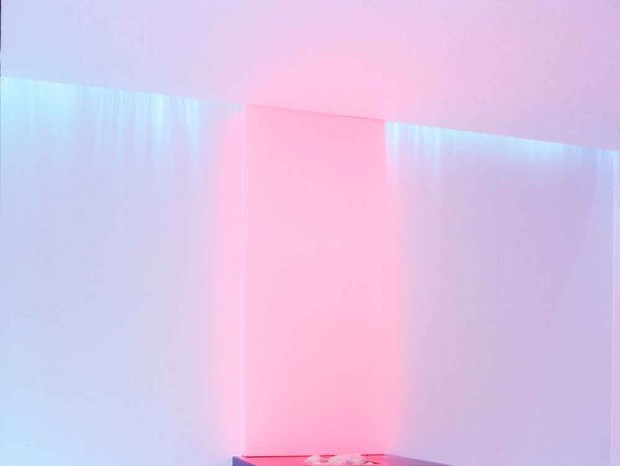 ����Ƶ��������Щ������������