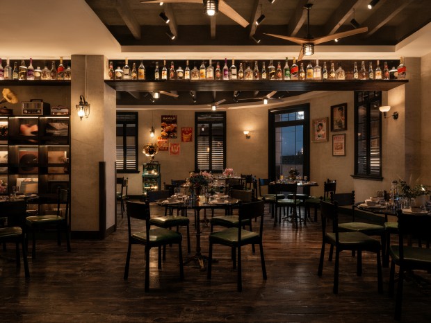 ������ʽ�;ưɣ�����ҹ���ɳڷ�Χ��✨