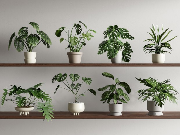 �ִ���ֲ���� �걳�� С���� ��̨���� ���� ���ܻ���