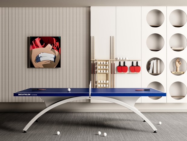 DECATHLON现代乒乓球桌 乒乓球台 体育器材