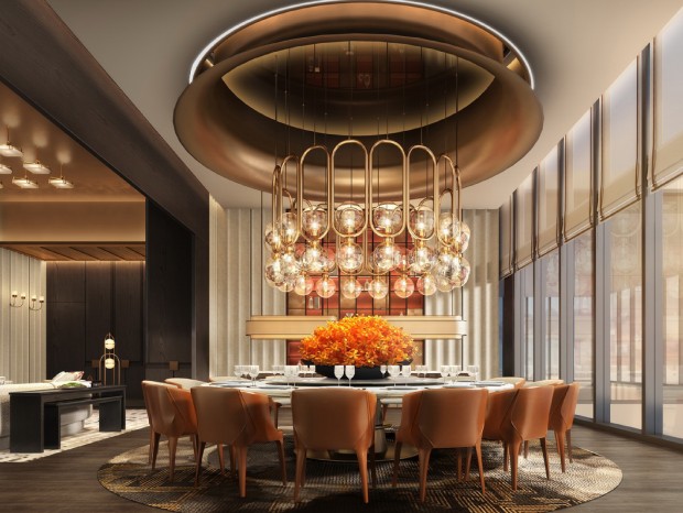 YANGʤ˹͡ƵPDF+Чͼ