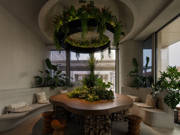 ľ����� | Velvi ���Ȥ��