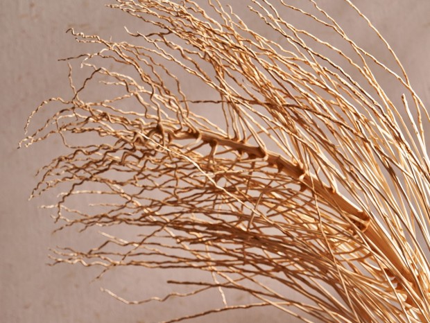 ۡ����ʽ�ҾӺϼ� | ����Ȼ��������