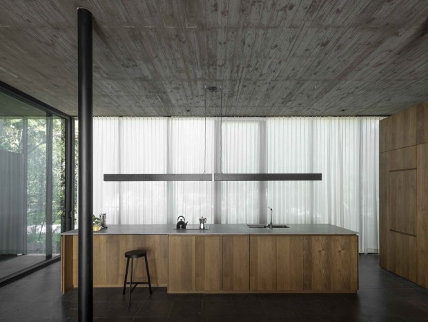 Luis Barandiaran |  One Hundred Pines