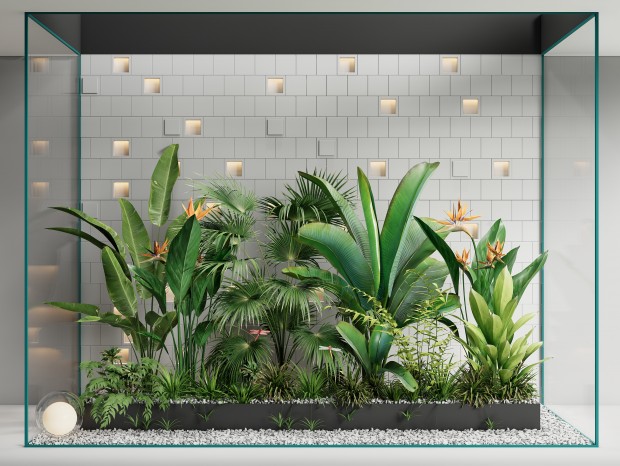 现代植物组合 室内植物造景 绿植花箱