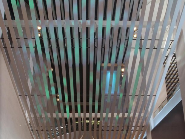 ��ô�ÿ���Ƶ���ƹ�˾���ٵĽ����г�����Ұ